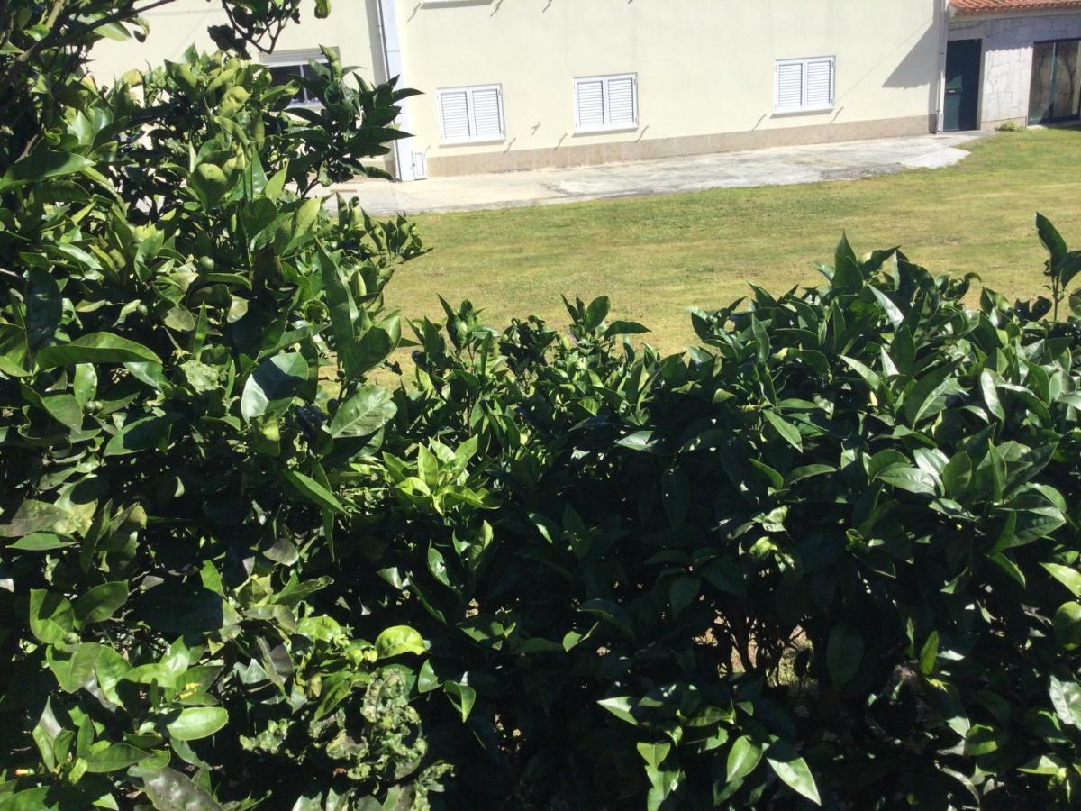 Room Villa Ribeiro Pilgrims Way To Santiago Bike A Garage For Marinhas Esposende Exterior foto